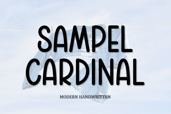 Meet Sampel Cardinal: A Display Font with Real Character